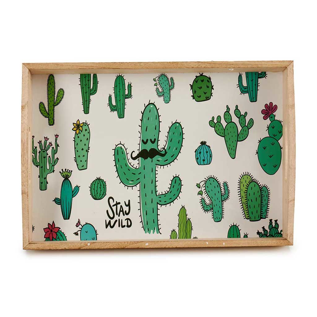 Bandeja de cactus