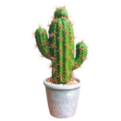 Cactus artificiales
