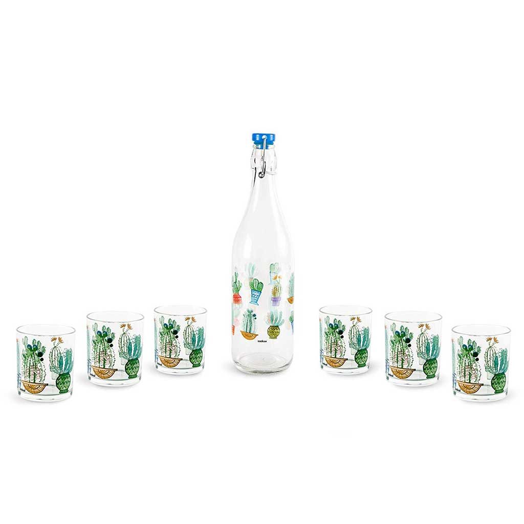 Botella y vasos de cristal con cactus