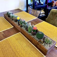 Decoración de cactus en el centro de mesa