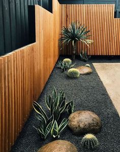 Decoración con cactus en la entrada