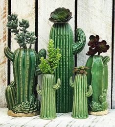 Decorar con cactus una pared