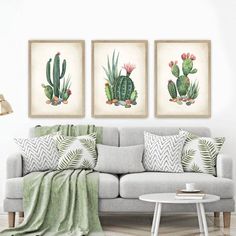 Decorar con cactus el sofá del comedor