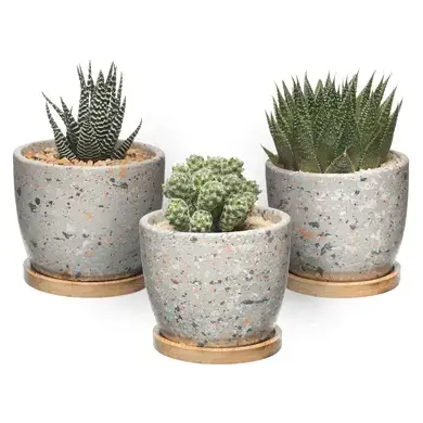 Macetas Decorativas de Cemento para Cactus