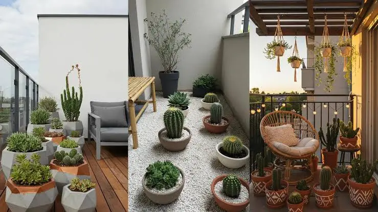 Comparativa de macetas de barro, cerámica y plástico para cactus